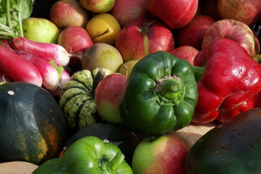 A photograph showing green peppers, pink radishes, red apples, and green speckled gourds.