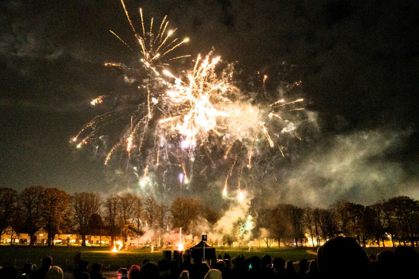 Photograph of fireworks in a night sky, above a row of trees. You can see the outline of people in the foreground.